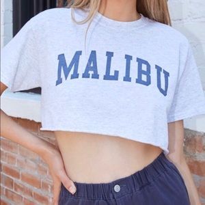 Brandy Melville grey cropped tee